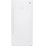 14.1 Cu. ft. White Frost - free Upright FreezerQuantumX Chargers