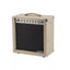 15 - Watt 1×12 Guitar Combo Tube Amp with Celestion Speaker and Spring ReverbQuantumX Chargers