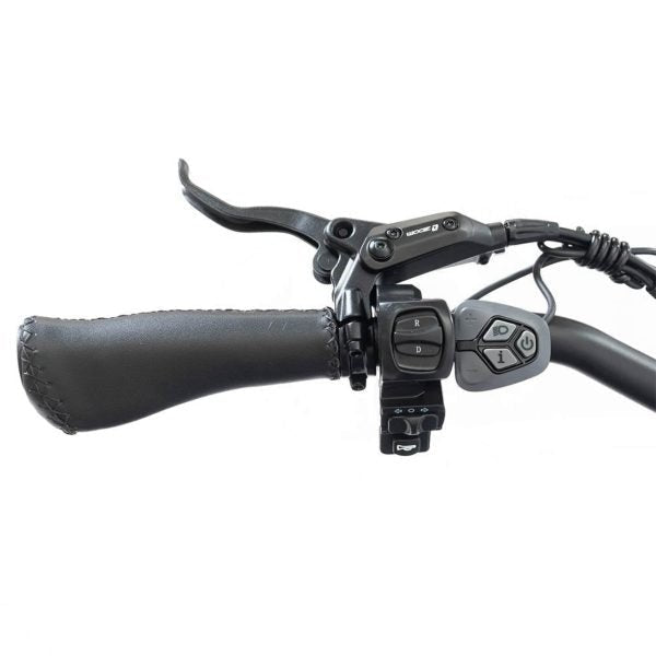 20 48V/14AH 750W Foldable Fat Tire Electric Trike, 330LBSQuantumX Chargers