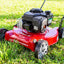 20 - Inch 125Cc Gas Push Mower with Briggs & Stratton EngineQuantumX Chargers