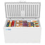 60 in. Commercial Chest Freezer 16 Cu ft.QuantumX Chargers