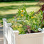 68.5"W x 24"L Vinyl Raised Planter with Extension KitQuantumX Chargers