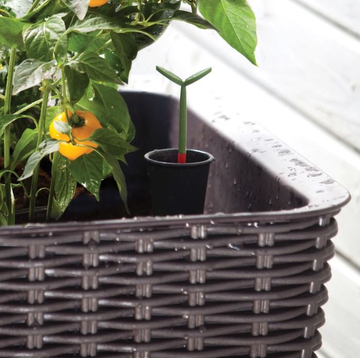 Dark Brown Wicker Raised Garden Bed Planter w/ Water IndicatorQuantumX Chargers