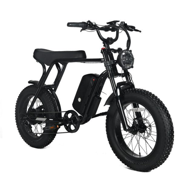 Electric Mountain Bike for Adults | 20 x 4.0 Fat Tires, 1000W Motor, 48V 20Ah Removable Battery, Max Speed 45MPH, Shi Mano 7 - Speed for Off - Road AdventuresQuantumX Chargers