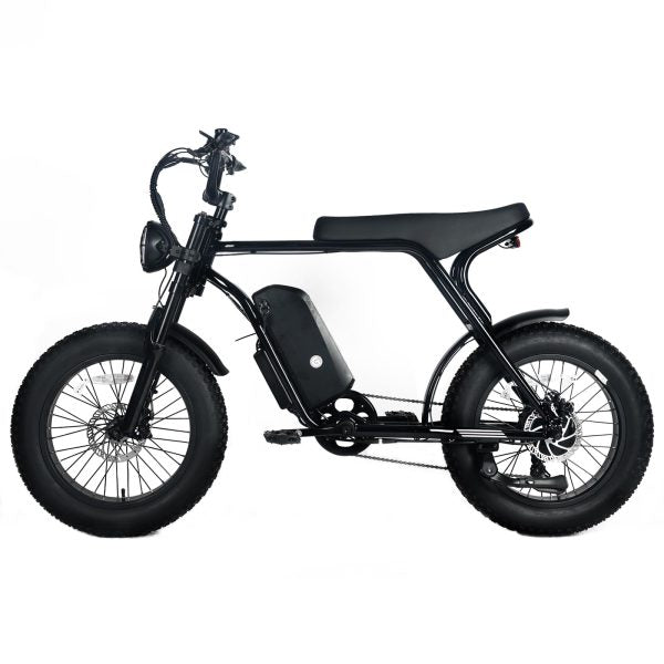 Electric Mountain Bike for Adults | 20 x 4.0 Fat Tires, 1000W Motor, 48V 20Ah Removable Battery, Max Speed 45MPH, Shi Mano 7 - Speed for Off - Road AdventuresQuantumX Chargers