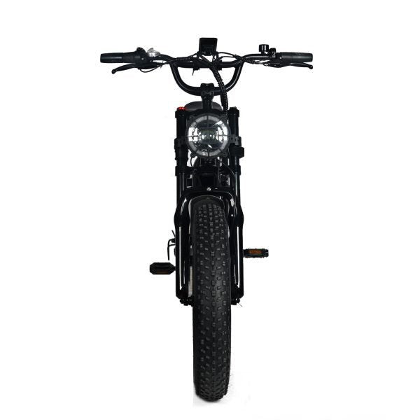 Electric Mountain Bike for Adults | 20 x 4.0 Fat Tires, 1000W Motor, 48V 20Ah Removable Battery, Max Speed 45MPH, Shi Mano 7 - Speed for Off - Road AdventuresQuantumX Chargers