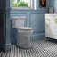 Highline Arc Extra Tall Elongated Toilet 1.28 GPF White with SeatQuantumX Chargers