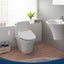USPA 6800 Luxury Electric Bidet Seat for Elongated Toilets in WhiteQuantumX Chargers