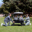 Wrangler Deluxe 4 Seater Stroller WagonQuantumX Chargers